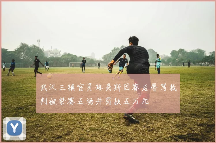 武汉三镇官员路易斯因赛后辱骂裁判被禁赛五场并罚款五万元
