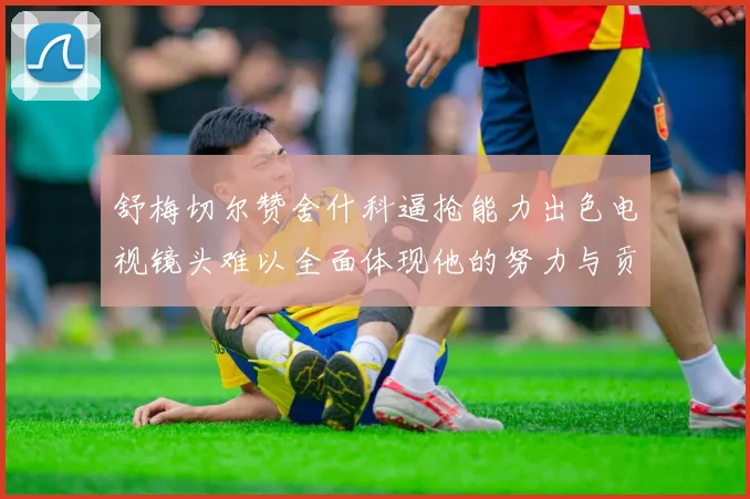 舒梅切尔赞舍什科逼抢能力出色电视镜头难以全面体现他的努力与贡献