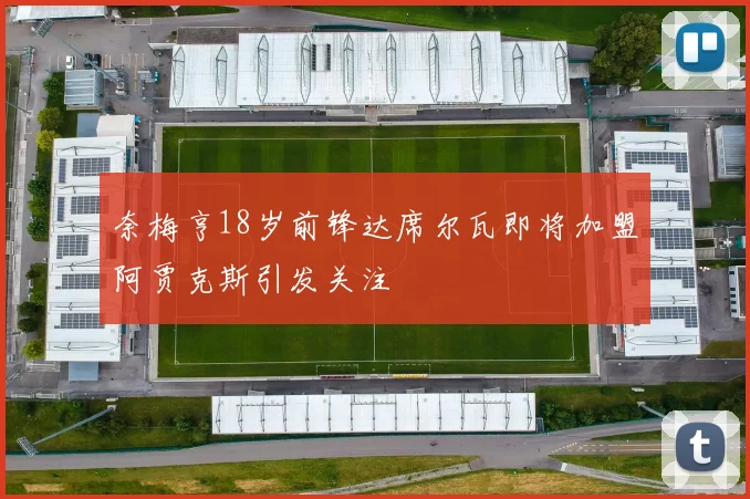 奈梅亨18岁前锋达席尔瓦即将加盟阿贾克斯引发关注