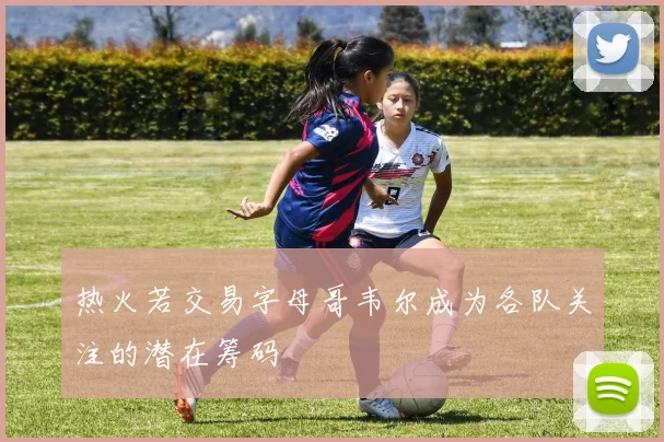 热火若交易字母哥韦尔成为各队关注的潜在筹码